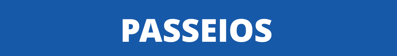 Driver Vile - Ubatuba São Paulo - Transfer Ubatuba   (9).png