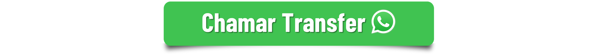 Driver Vile - Ubatuba São Paulo - Transfer Ubatuba   ---.png